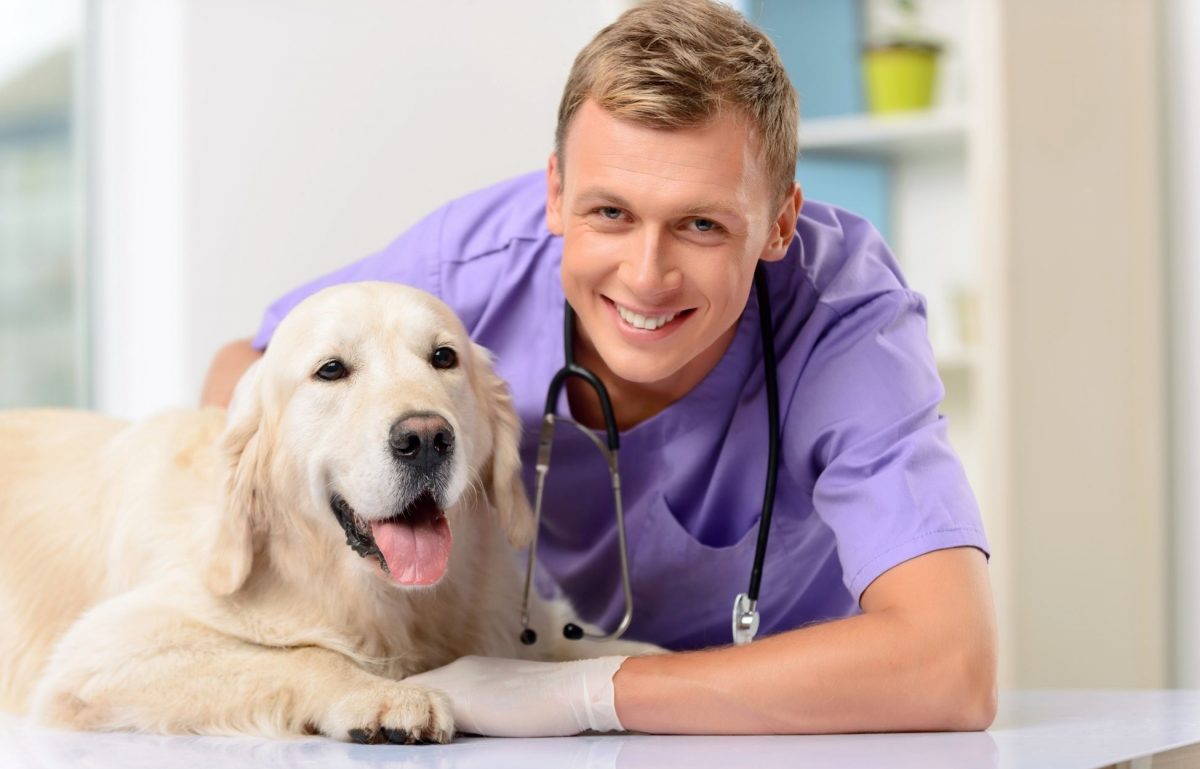 Top Challenges Facing Modern Veterinary Practices