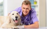 Top Challenges Facing Modern Veterinary Practices