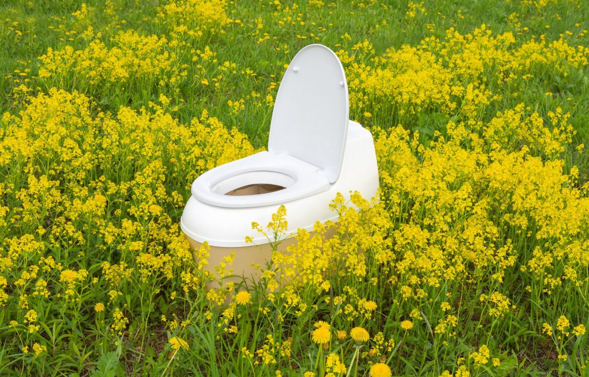 A white and beige toilet in the middle of a field of green grass and yellow flowers. The lid is open.