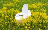 A white and beige toilet in the middle of a field of green grass and yellow flowers. The lid is open.