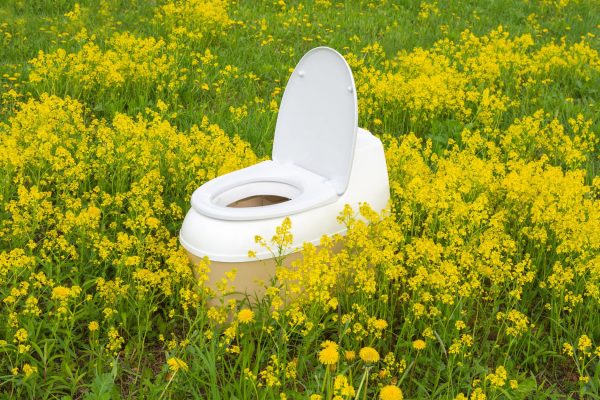 A white and beige toilet in the middle of a field of green grass and yellow flowers. The lid is open.