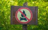 A rustic, brown sign depicting a campfire, circled in red with a red slash through it. Lush trees fill the background.