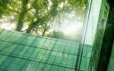 An eco-friendly glass office building with trees outside. The trees outside reflect off the glass on the building.