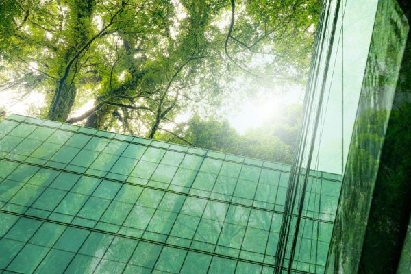 An eco-friendly glass office building with trees outside. The trees outside reflect off the glass on the building.