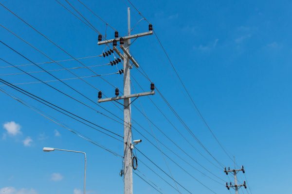 Two electricity posts are connected by running black cables. The background is a blue sky with small clouds on the left side.